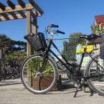Location de vélos  - Camping île de Ré 5 étoiles