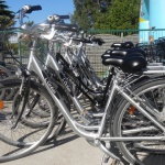 Location de vélos  - Camping île de Ré 5 étoiles