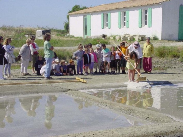 Ecomus&eacute;e du marais salant de l'&icirc;le de R&eacute;