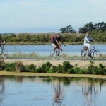 L'île de Ré à vélo