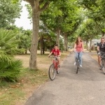 Accès direct aux pistes cyclables de l'intérieur du camping