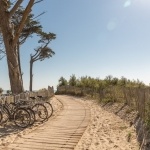 Séminaires, Incentive, Team building : location de vélos