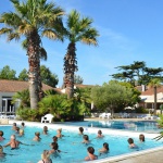 Animation : aquagym, tournois sportifs...