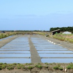 Les marais salants