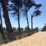 à 50 mètres de la plage - Camping île de Ré 5 étoiles