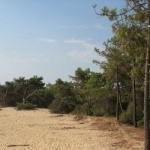 Plage et bois de Trousse Chemise