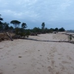 Plage de Trousse Chemise