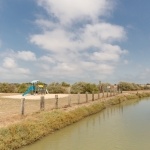 Plan d'eau de pêche - Camping île de Ré 5 étoiles