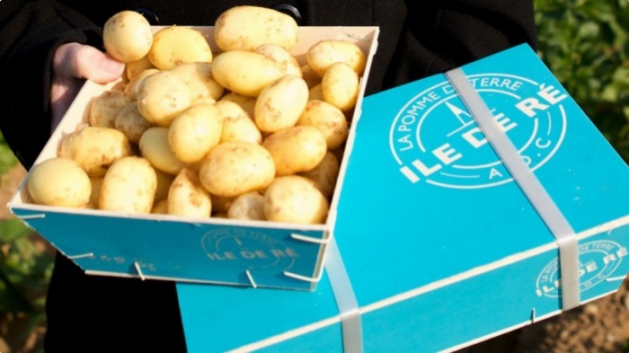 Pommes de terre de l'&icirc;le de R&eacute;