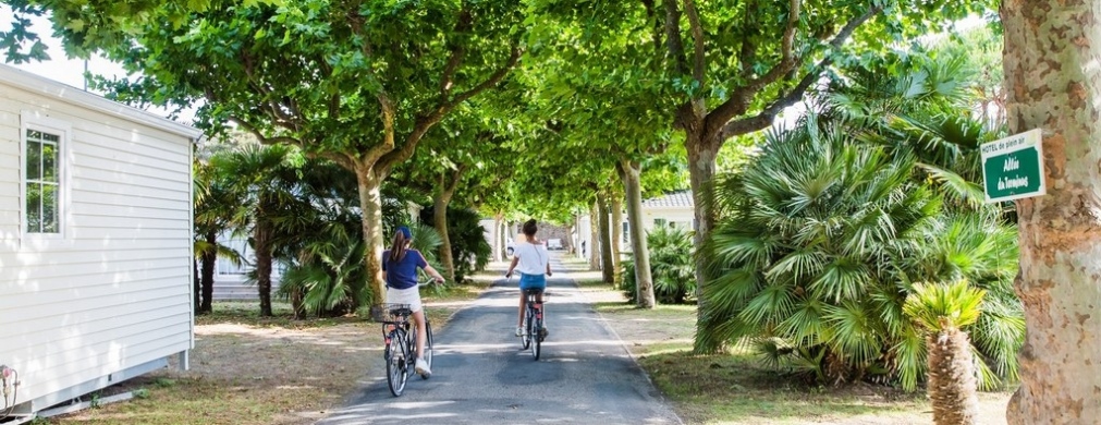 Carte des 7 lieux à voir sur l'Île de Ré